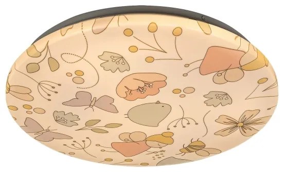Rabalux 3416 - Plafonieră copii LED HANKA LED/24W/230V
