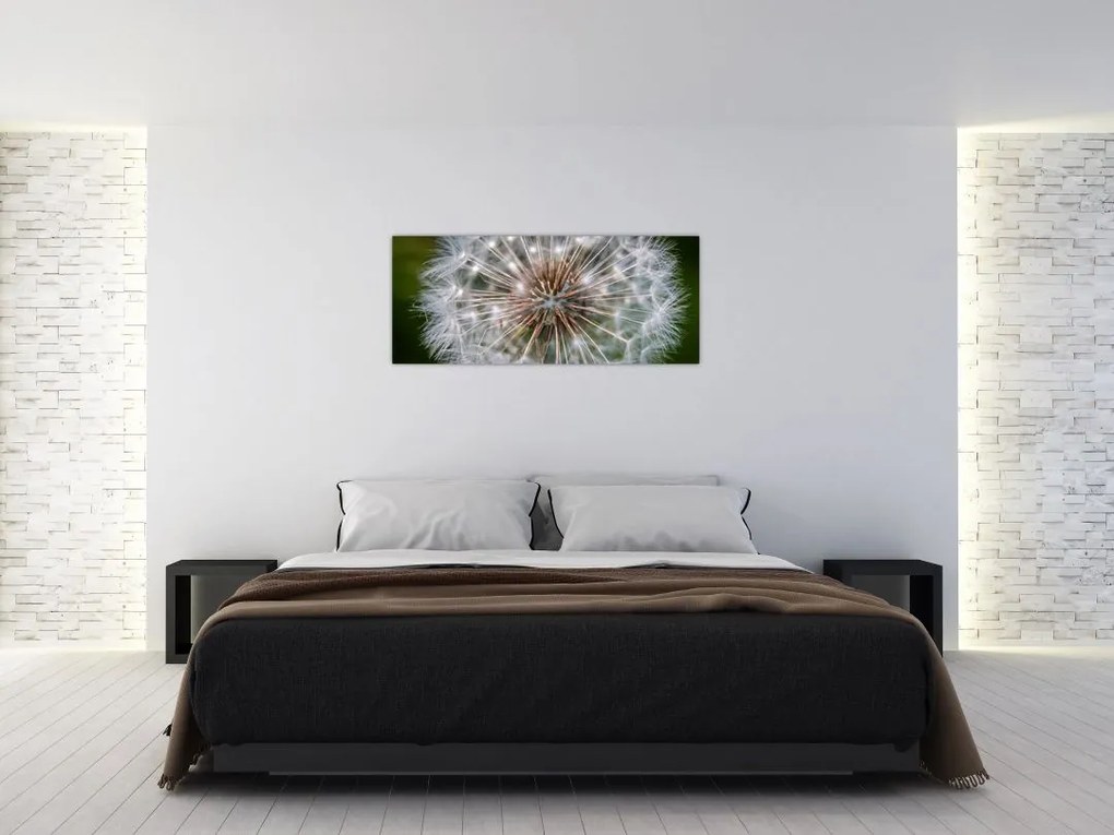 Tablou cu păpădie (120x50 cm)