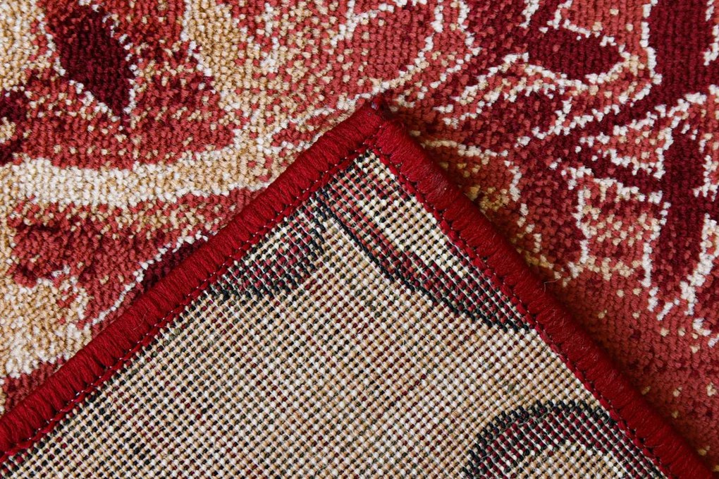 Covor Modern Lotos 1521