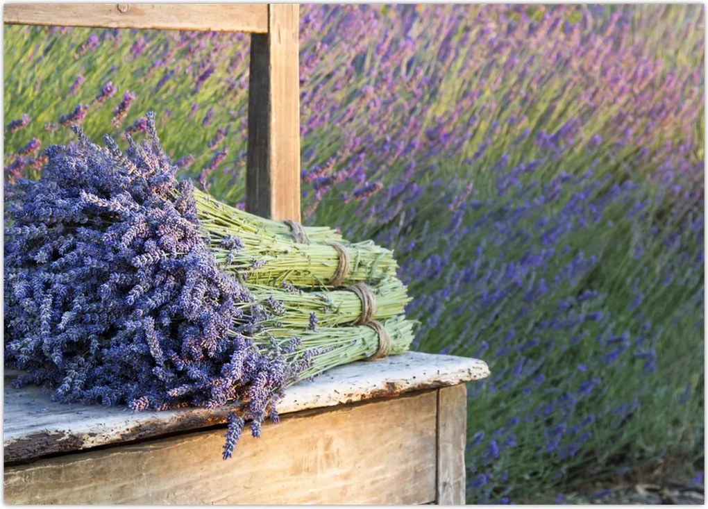 Tablou - Buchețele de lavandă (70x50 cm)