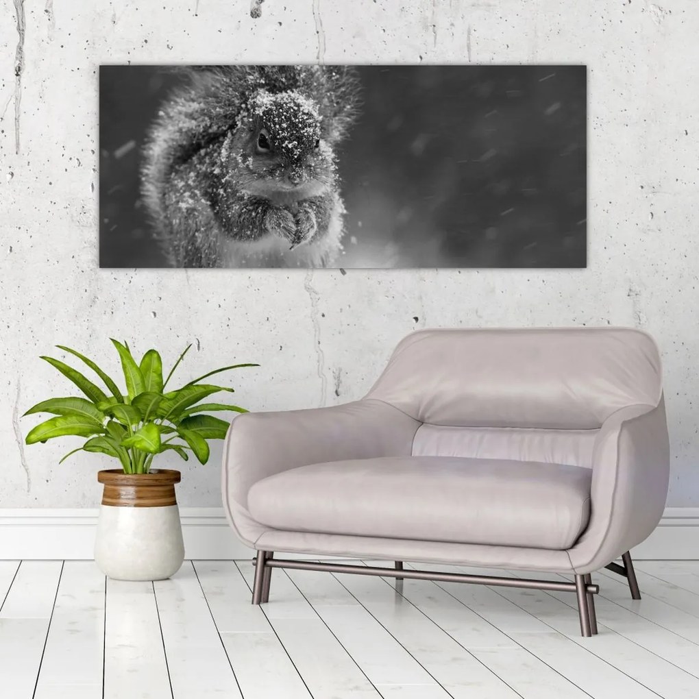 Tablou - Veveriță în timpul iernii (120x50 cm)