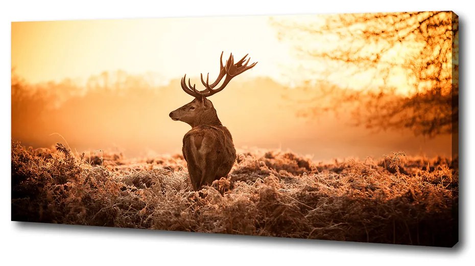 Print pe canvas Sunrise deer