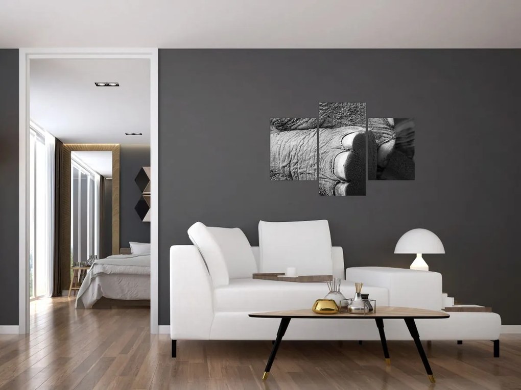Tablou - Picior de elefant (90x60 cm)