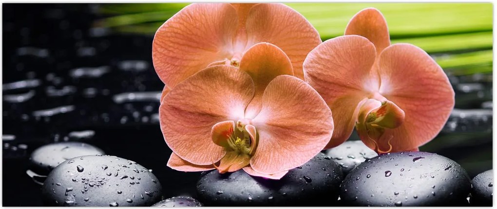 Tablou - Orhidee portocalie cu frunze de palmier (120x50 cm)