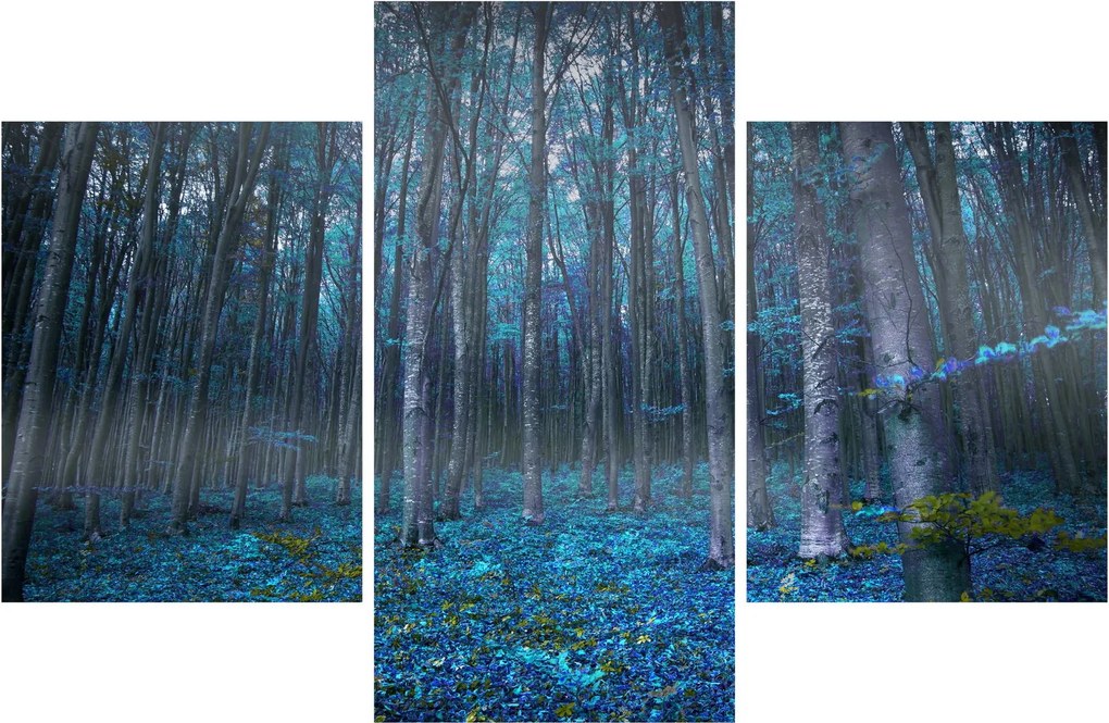Tablou - Pădurea magică (90x60 cm)