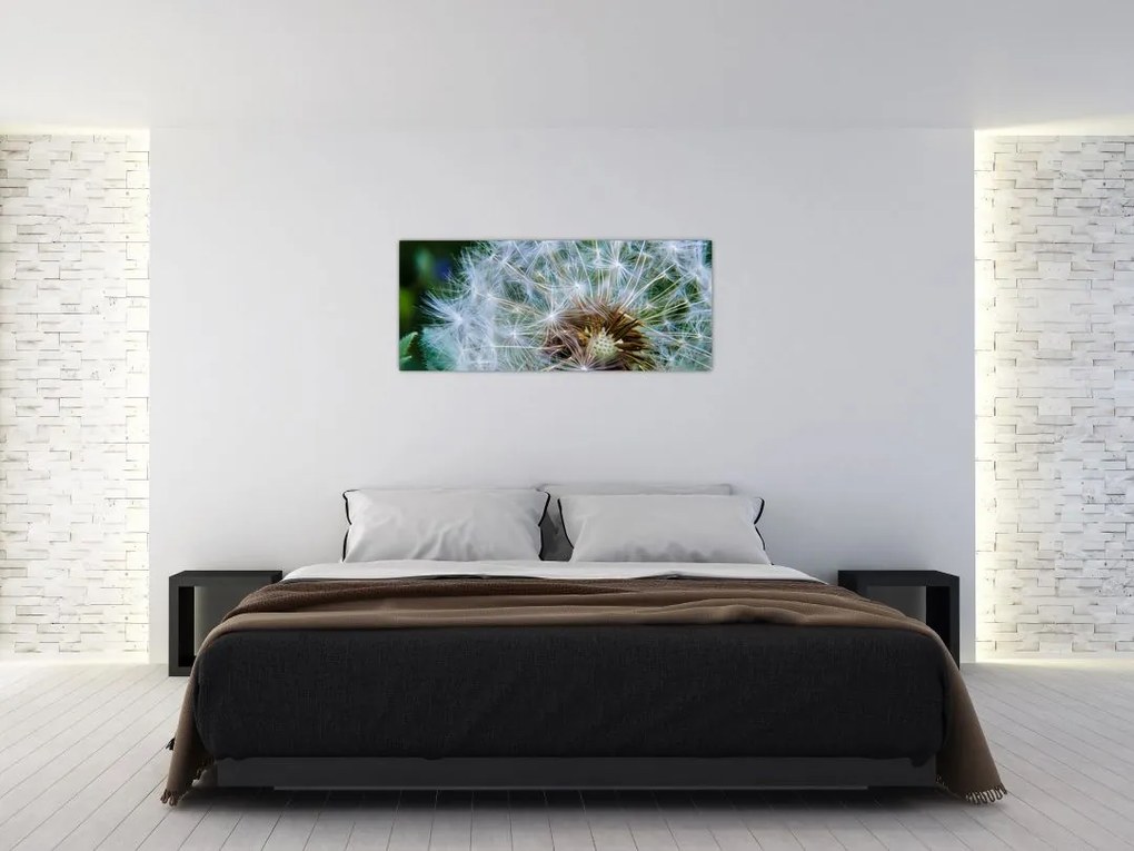 Tabloul cu păpădie desflorit (120x50 cm)