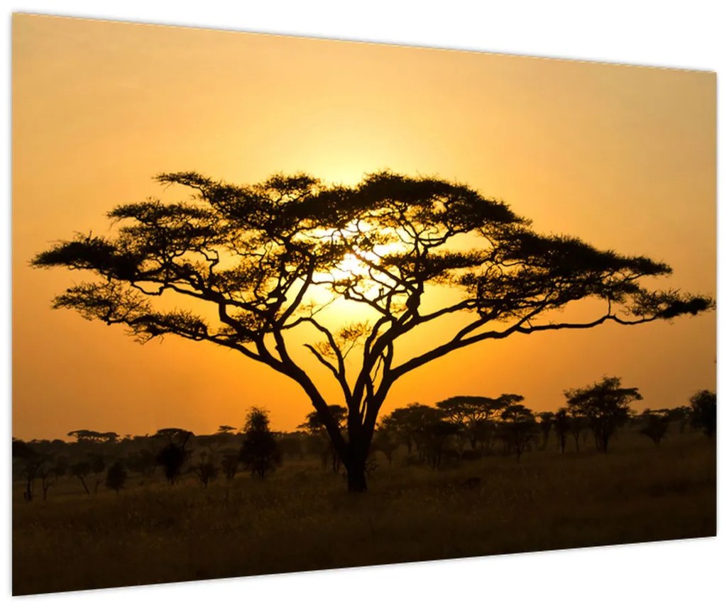 Tablou - Savana africană (90x60 cm)