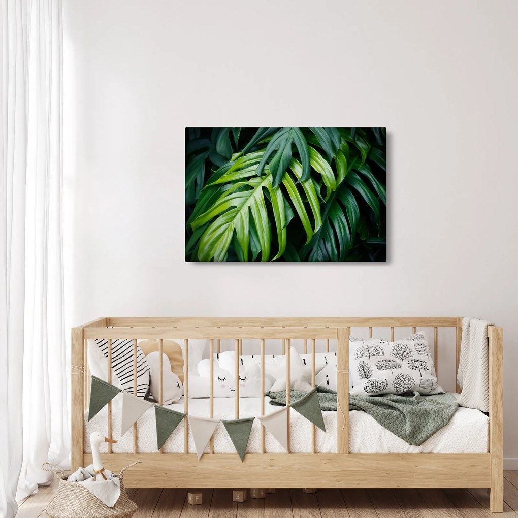 Tablou - Frunze tropicale (90x60 cm)