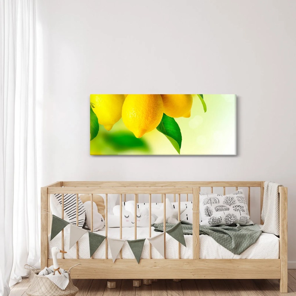 Tablou cu lămâi (120x50 cm)