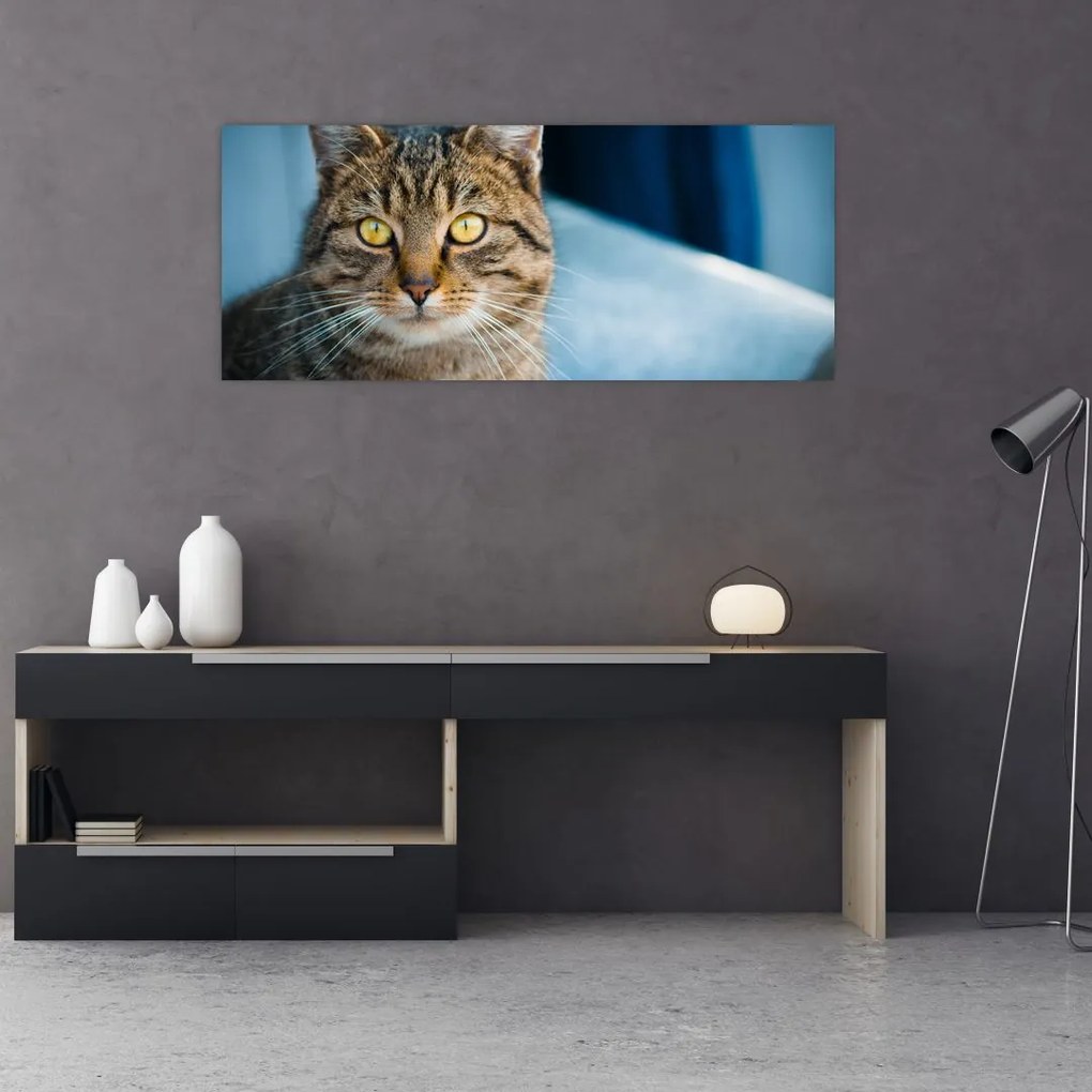 Tablou - Pisica domestică (120x50 cm)