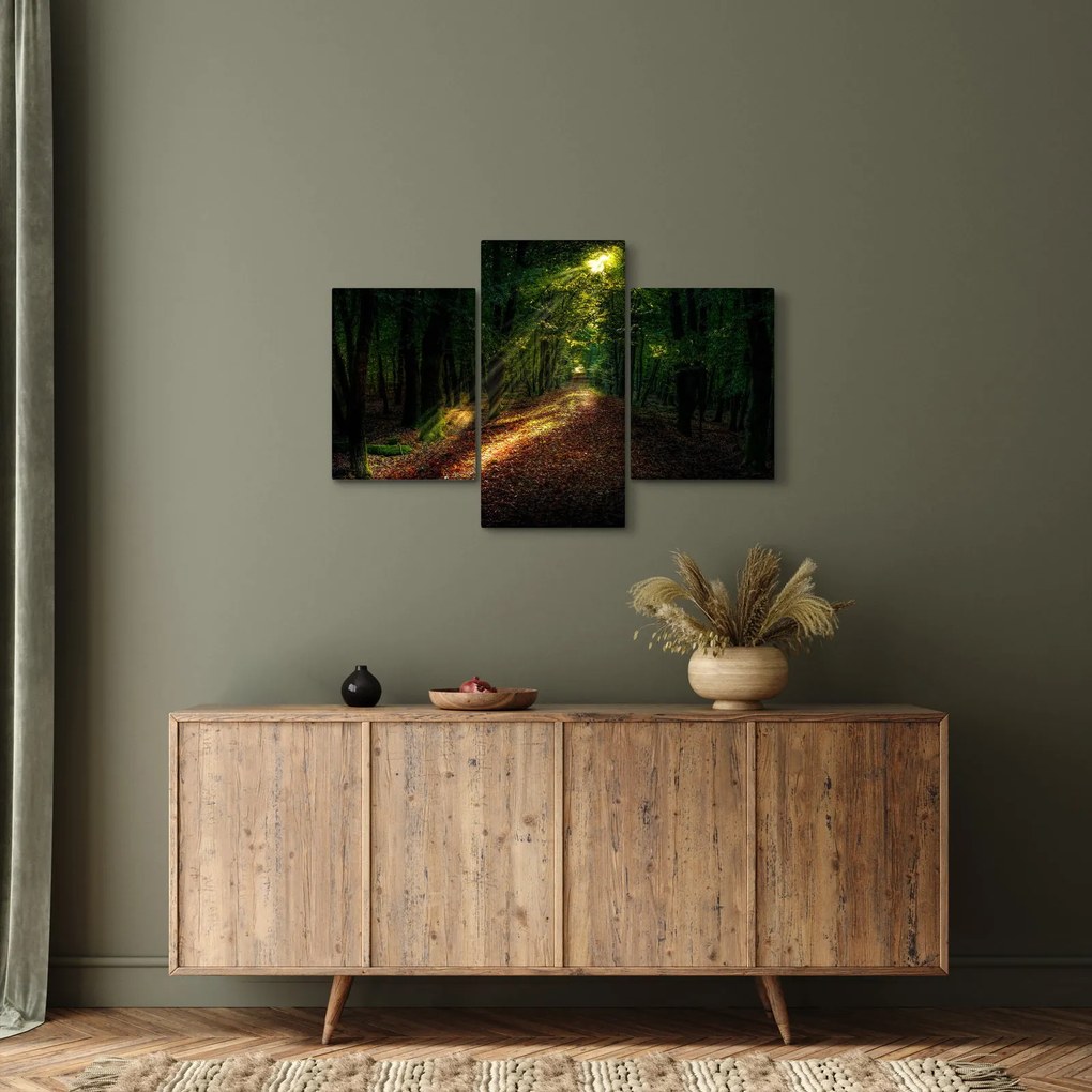 Tablou cu poteca prin pădure (90x60 cm)