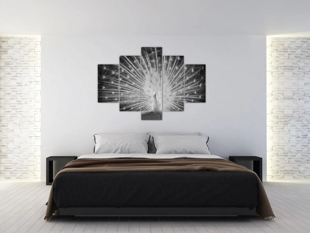 Tablou - Păun alb (150x105 cm)