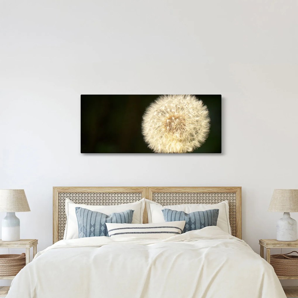 Tablou cu păpădie gri (120x50 cm)