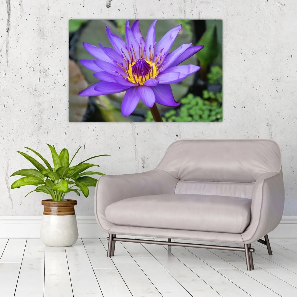 Tablou - Floare violet (90x60 cm)