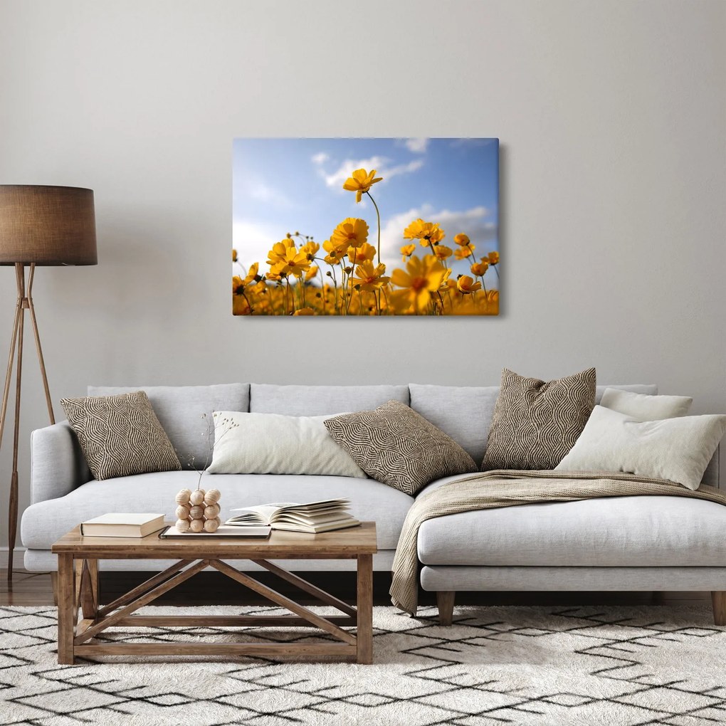 Tablou - Câmp cu flori galben deschis (90x60 cm)