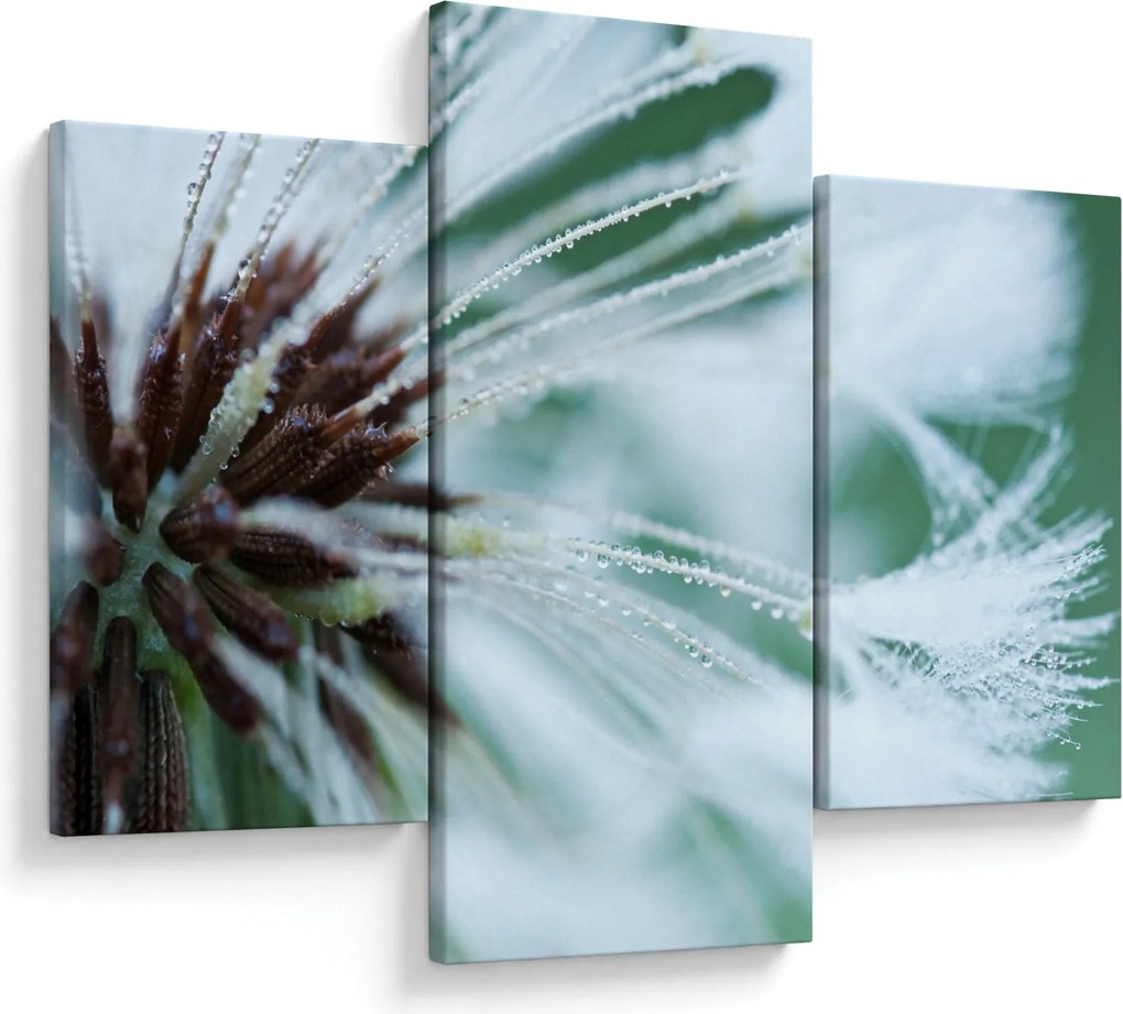 Tablou - Detaliu floare (90x60 cm)