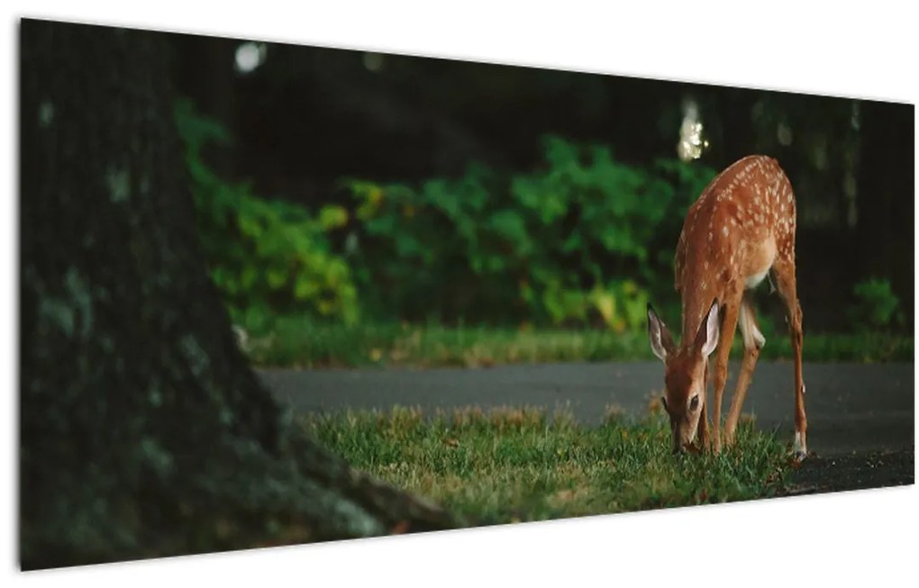 Tablou cu pui de cerb (120x50 cm)