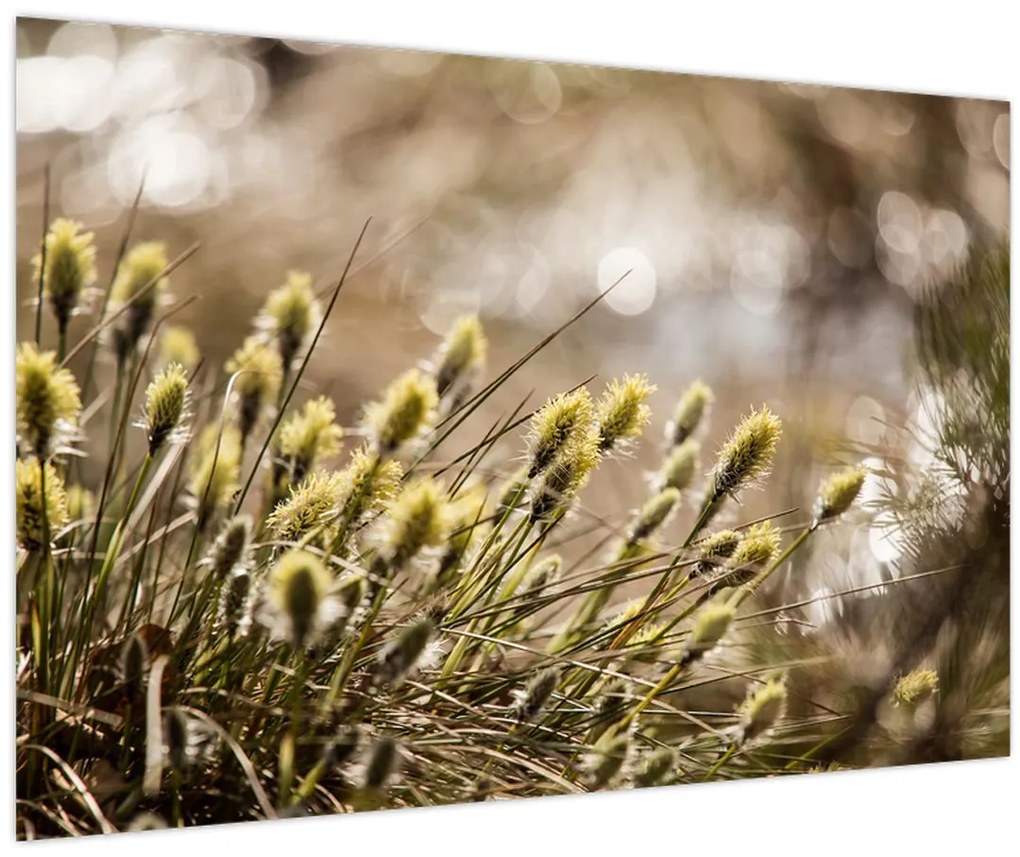 Tablou - Verde (90x60 cm)