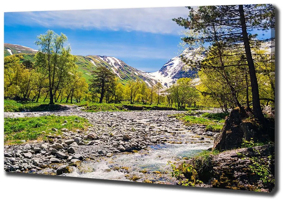 Tablouri tipărite pe pânză River în munți