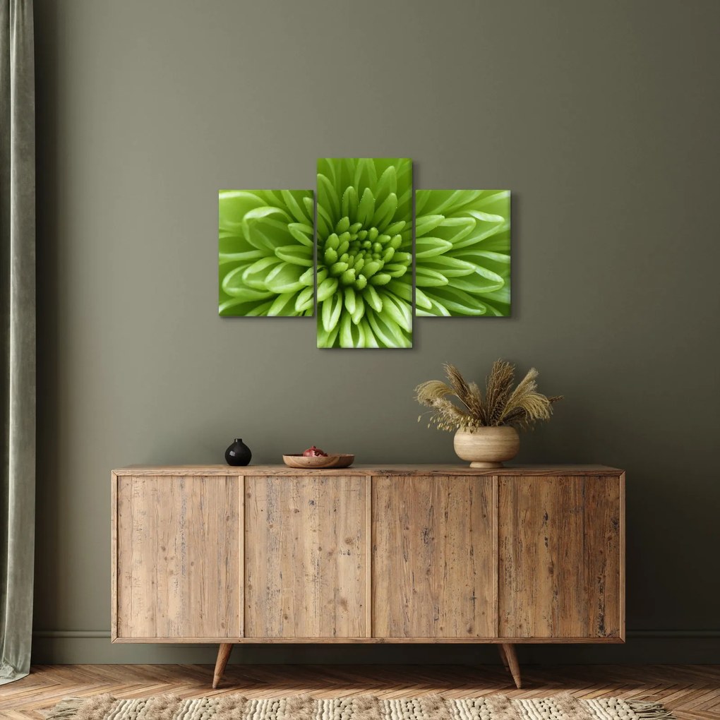 Tablou - Imagine macro a unei plante (90x60 cm)