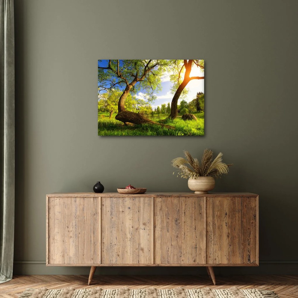 Tablou lunca ne primăvară (70x50 cm)