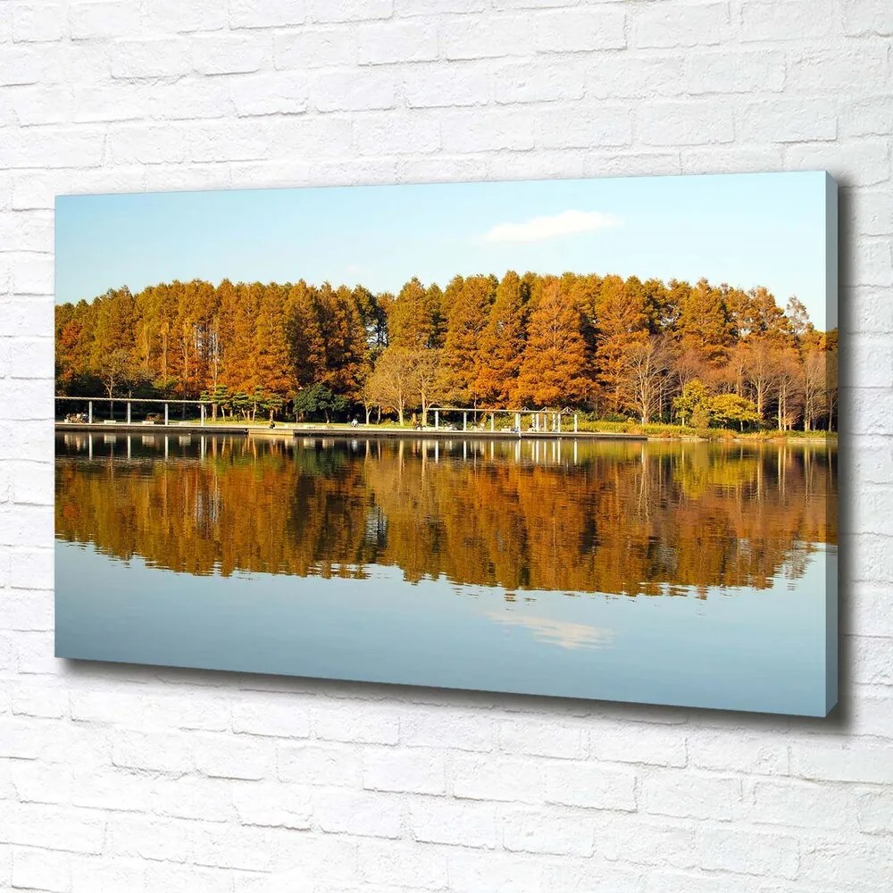 Pictură pe pânză Lake forest