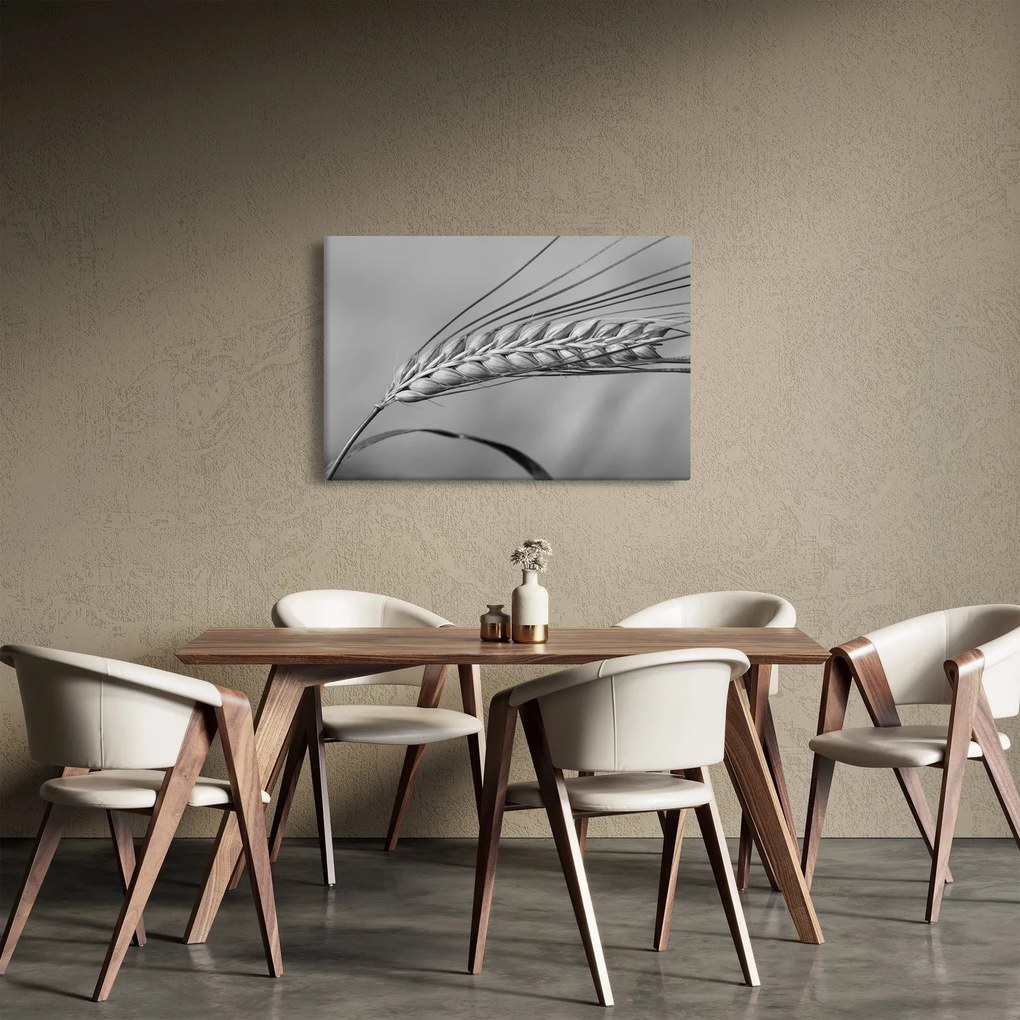 Tablou - Grâu,alb-negru (90x60 cm)