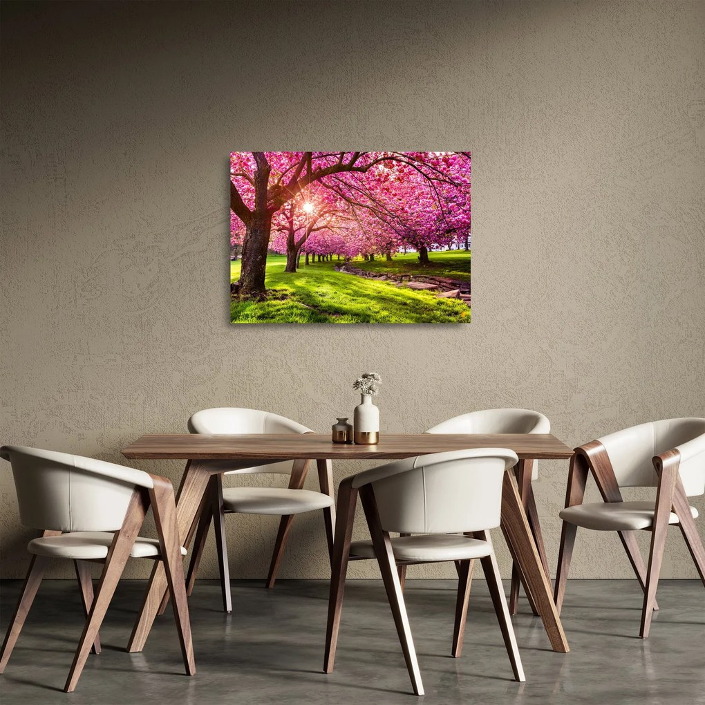 Tablou pe sticlă - Cireși înfloriți, Hurd Park, Dover, New Jersey (70x50 cm)