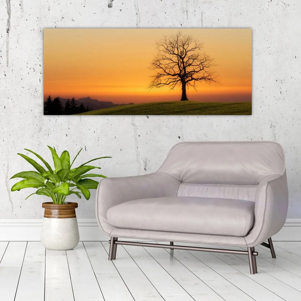 Tablou cu apus de soare pe o luncă (120x50 cm)
