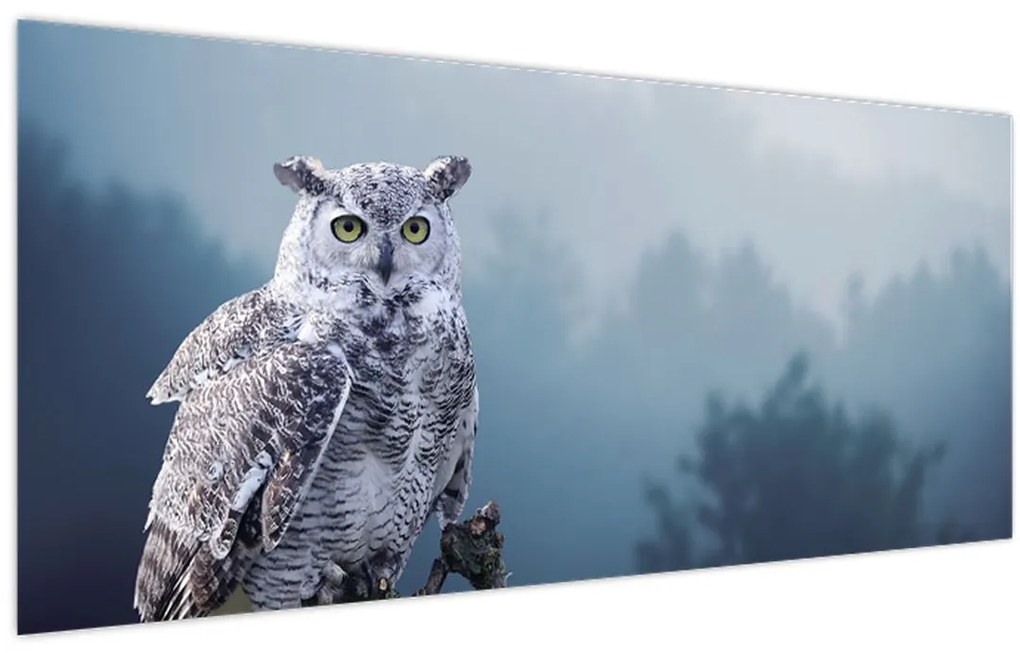 Tablou - Bufniță de zăpadă (120x50 cm)