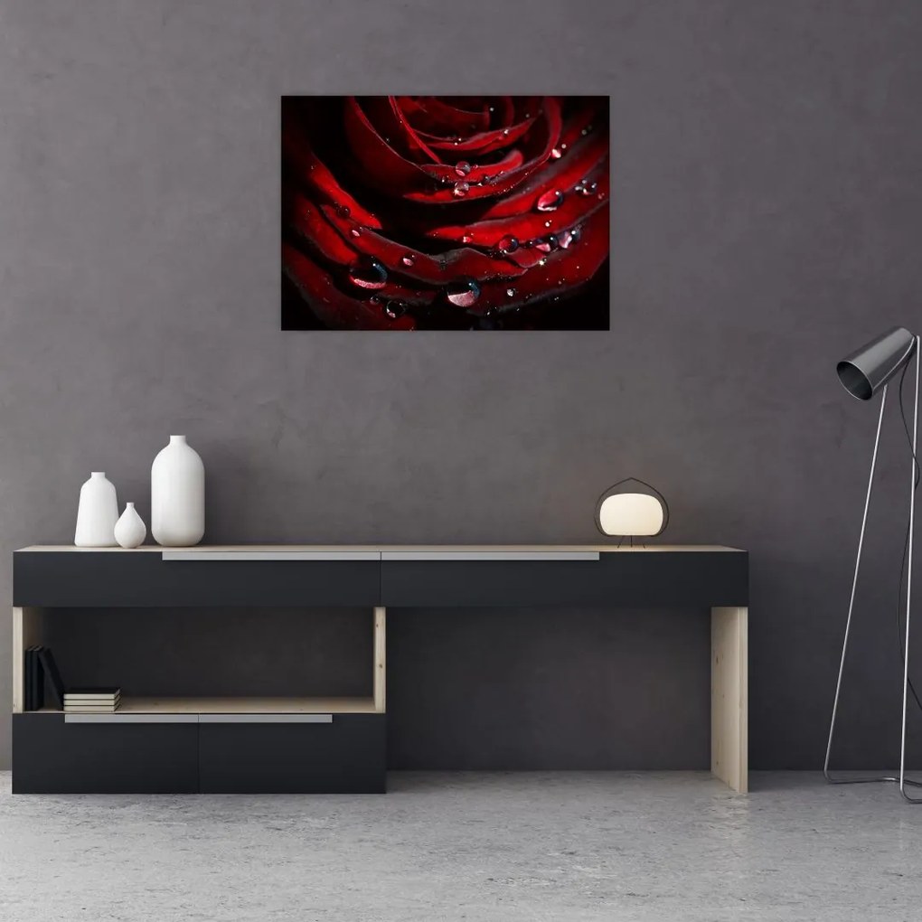 Tablou - Trandafir (70x50 cm)