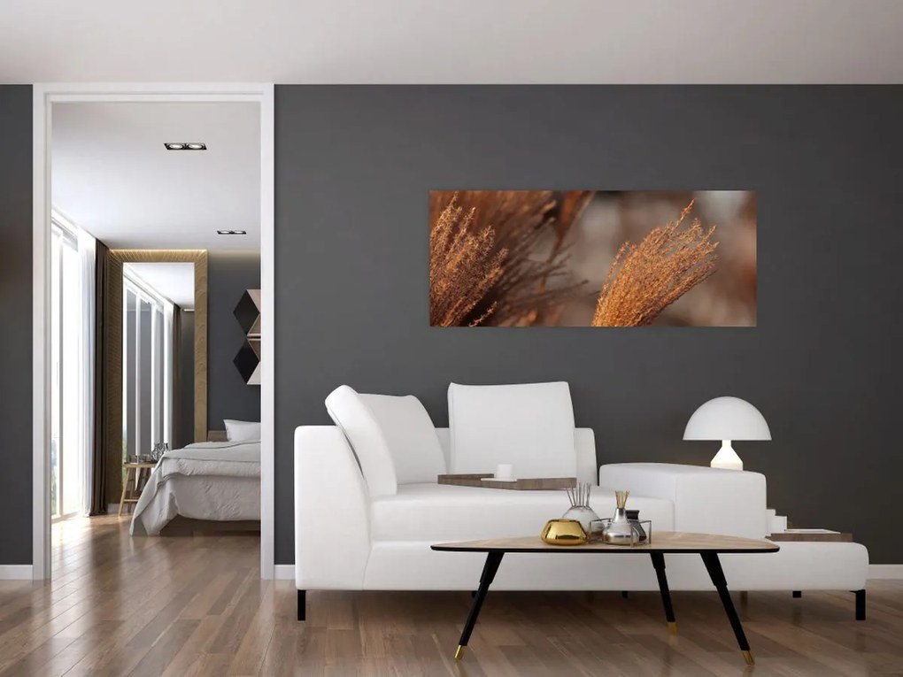 Tablou - Cortaderie (120x50 cm)