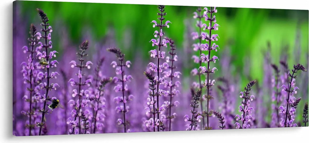 Tablou cu flori de luncă violete (120x50 cm)