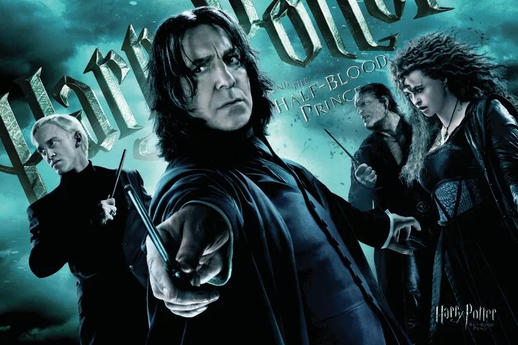 Poster de artă Harry Potter - Followers of Voldemort