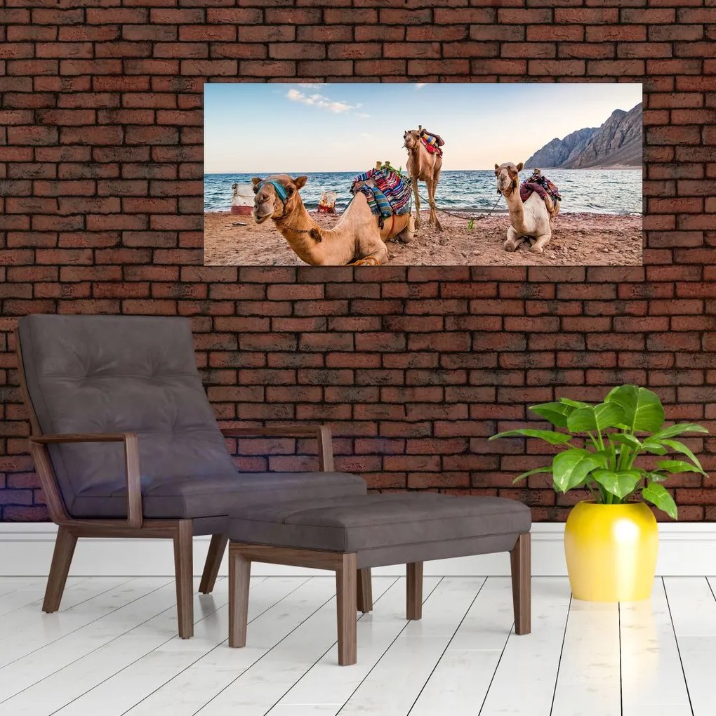 Tablou cu cămile (120x50 cm)