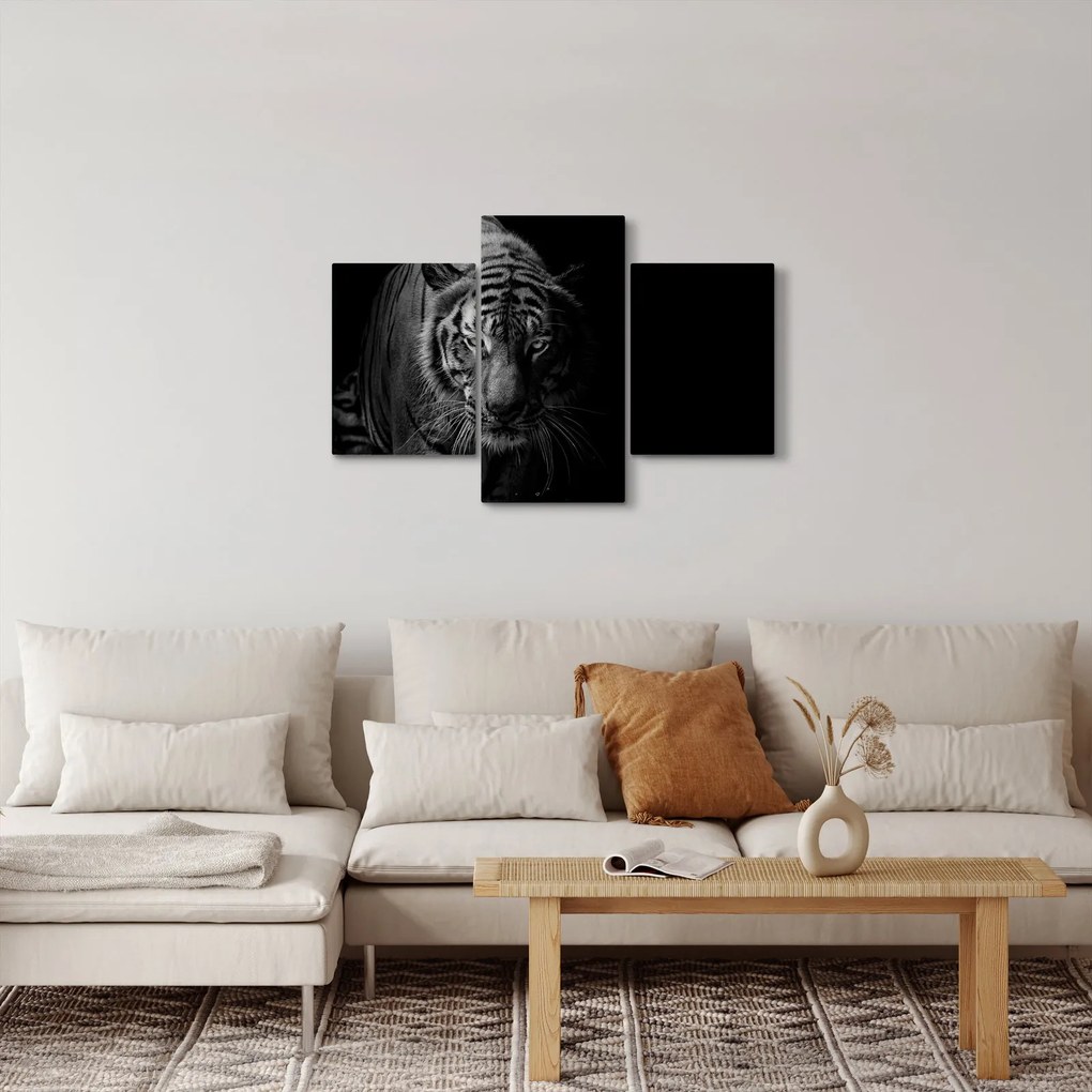 Tablou - Tigru sălbatic (90x60 cm)