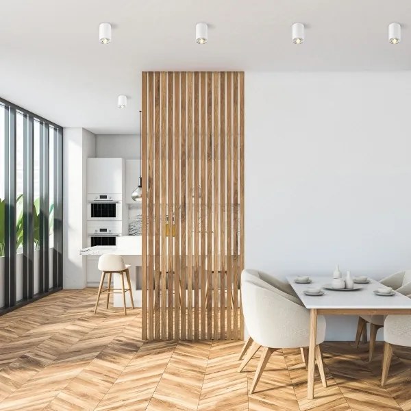 Spot RONDOO 1xGU10/50W/230V alb Zuma Line 45519-N