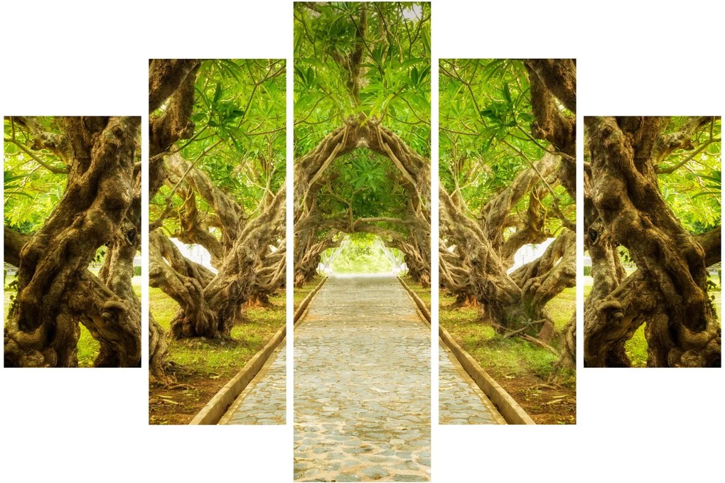 Tablou - Tunel viu din plumeria (150x105 cm)