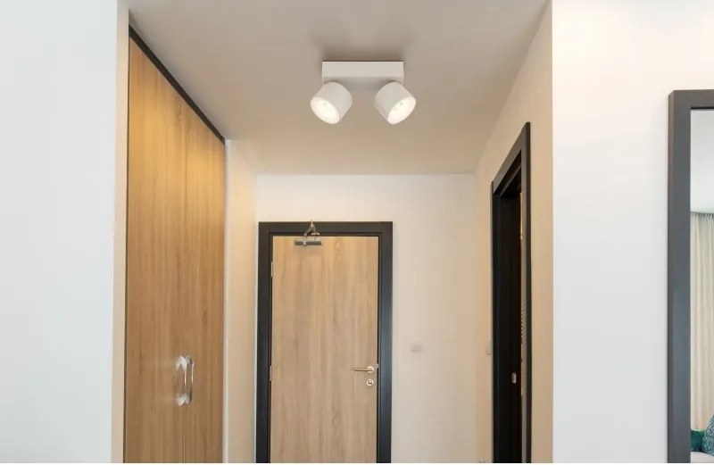 Plafoniera LED cu 2 spoturi moderna RAE
