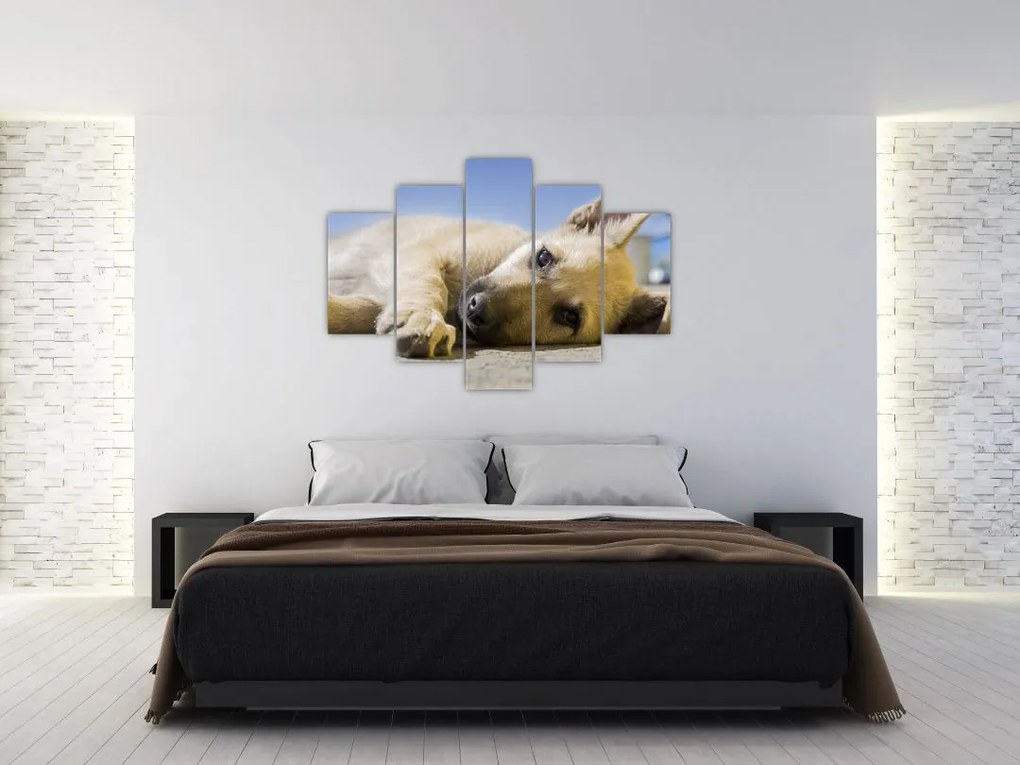 Tablou cu cățeluș dormind (150x105 cm)