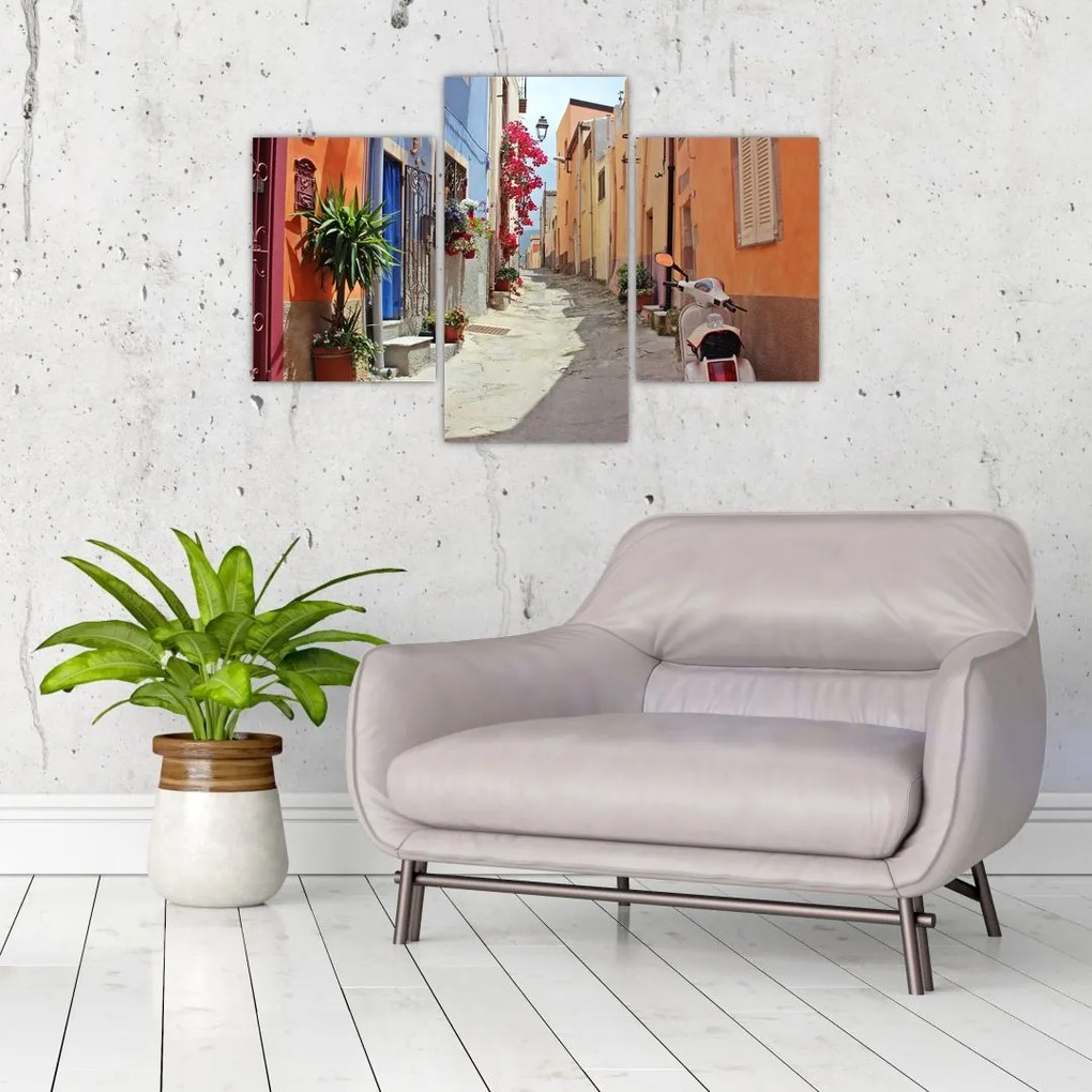 Tablou cu strada din Sardinia (90x60 cm)