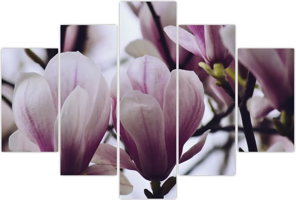 Tablou - Magnolie (150x105 cm)