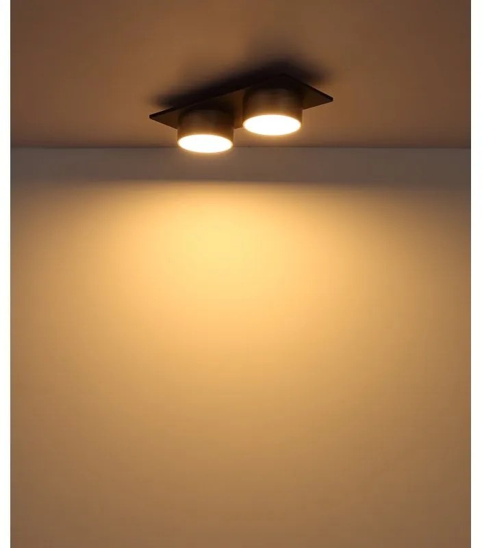 Plafoniera LED negru sampanie RAYMOND 2L