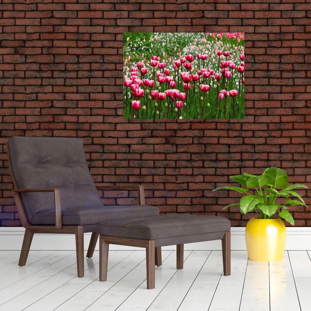 Tablou - Lalele (70x50 cm)