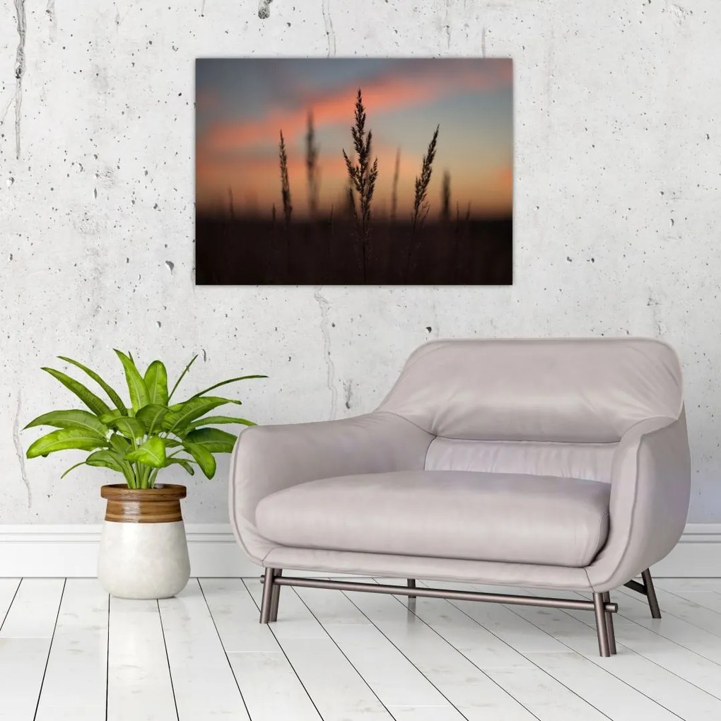 Tablou pe sticlă - Silueta plantei (70x50 cm)