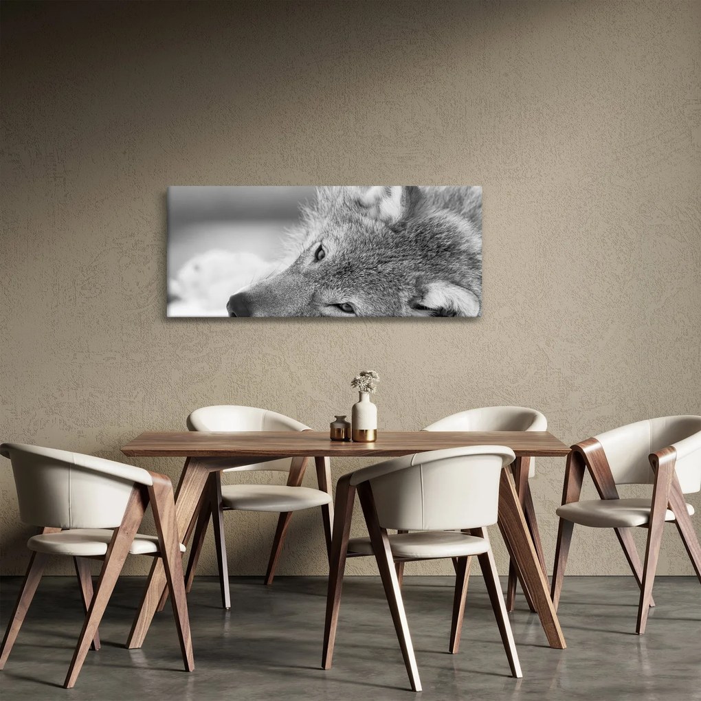 Tablou - Lup,alb-negru (120x50 cm)