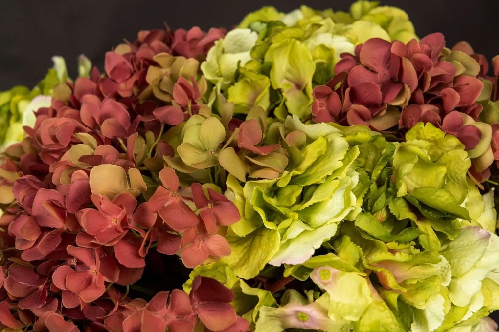 Aranjament floral mediu design LUX FAZZOLETTO HYDRANGEA