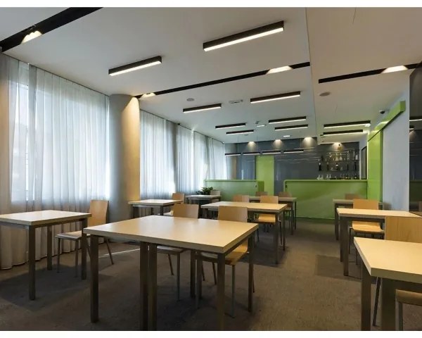 Plafonieră LED aplicată LINO LED/30W/230V 3000/3500/4000K negru LED2