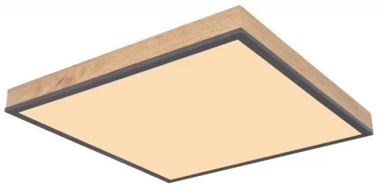 Plafonieră LED DORO LED/24W/230V Globo 416080WD2