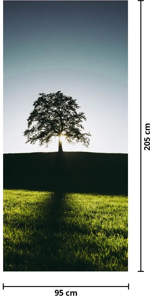 Fototapet pentru ușă - Copac (95x205cm)